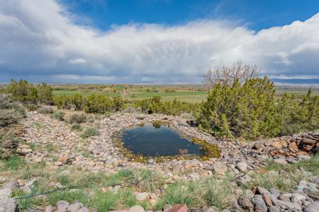 Montrose Colorado Custom Home On Acreage - image 38