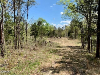 Mountain property for sale Gainesboro TN - image 40