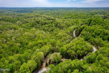 Mountain property for sale Gainesboro TN - image 9