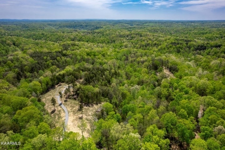 Mountain property for sale Gainesboro TN - image 3
