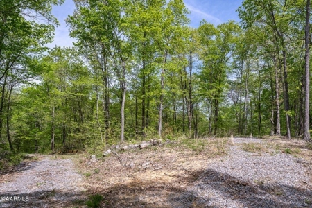 Mountain property for sale Gainesboro TN - image 24