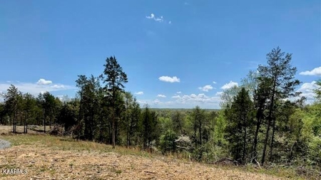 Mountain property for sale Gainesboro TN - image 29