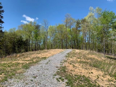 Mountain property for sale Gainesboro TN - image 32