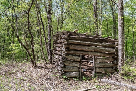 Mountain property for sale Gainesboro TN - image 20