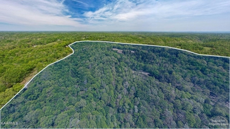 Mountain property for sale Gainesboro TN - image 12