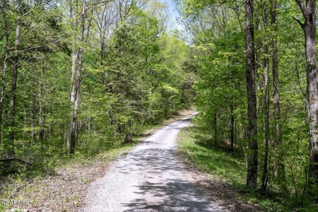 Mountain property for sale Gainesboro TN - image 19