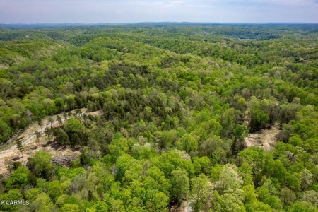 Mountain property for sale Gainesboro TN - image 5
