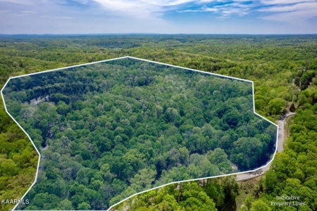 Mountain property for sale Gainesboro TN - image 8