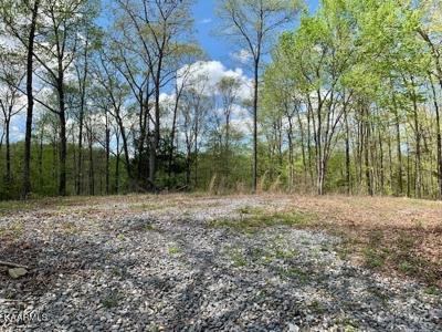 Mountain property for sale Gainesboro TN - image 44