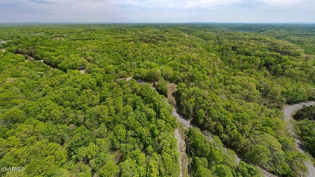 Mountain property for sale Gainesboro TN - image 10