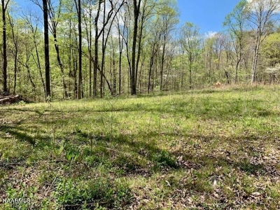Mountain property for sale Gainesboro TN - image 42