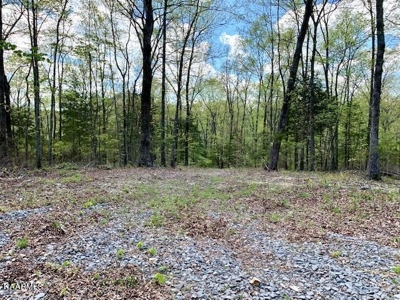 Mountain property for sale Gainesboro TN - image 45