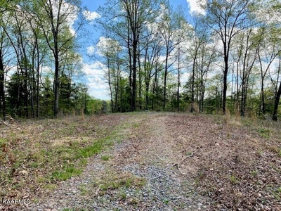 Mountain property for sale Gainesboro TN - image 46