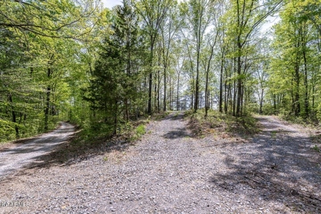 Mountain property for sale Gainesboro TN - image 21