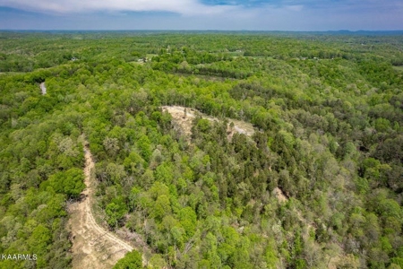 Mountain property for sale Gainesboro TN - image 13
