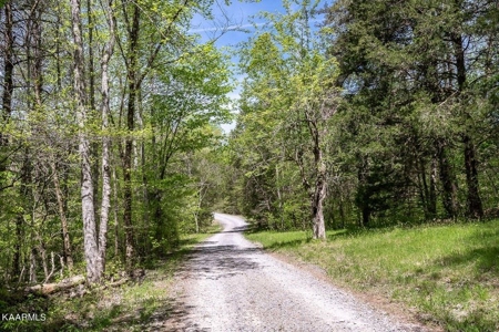 Mountain property for sale Gainesboro TN - image 23