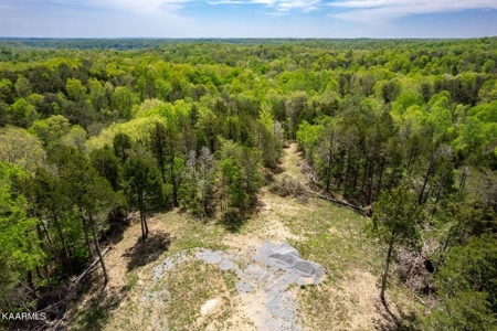 Mountain property for sale Gainesboro TN - image 2