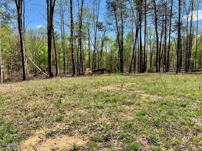 Mountain property for sale Gainesboro TN - image 41