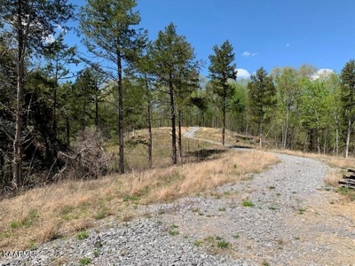 Mountain property for sale Gainesboro TN - image 31