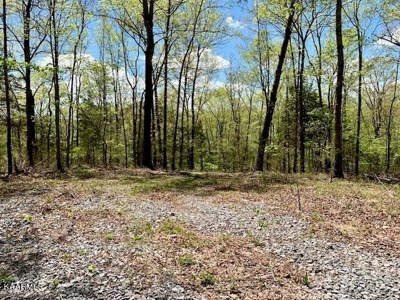 Mountain property for sale Gainesboro TN - image 38