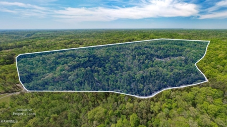 Mountain property for sale Gainesboro TN - image 1