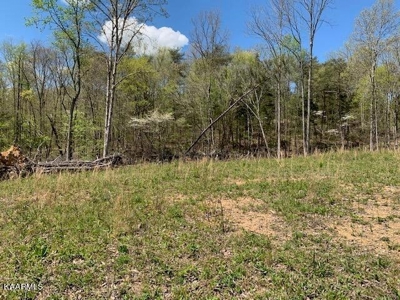 Mountain property for sale Gainesboro TN - image 43