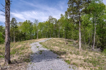 Mountain property for sale Gainesboro TN - image 28