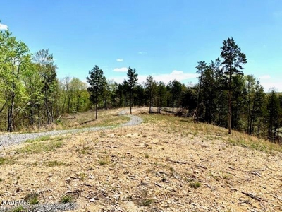 Mountain property for sale Gainesboro TN - image 30