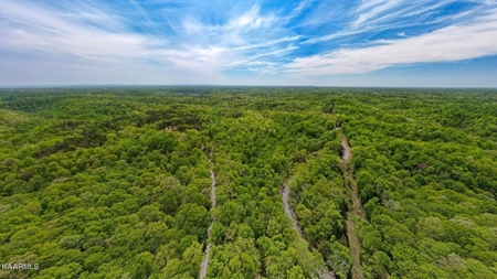 Mountain property for sale Gainesboro TN - image 6