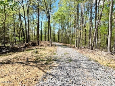 Mountain property for sale Gainesboro TN - image 34