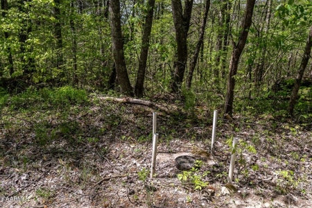 Mountain property for sale Gainesboro TN - image 22
