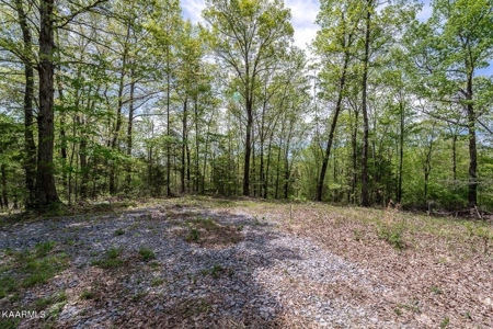 Mountain property for sale Gainesboro TN - image 25