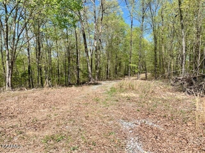 Mountain property for sale Gainesboro TN - image 39