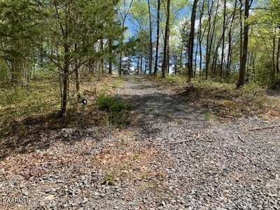Mountain property for sale Gainesboro TN - image 49
