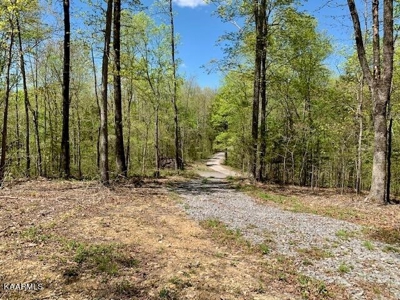 Mountain property for sale Gainesboro TN - image 36