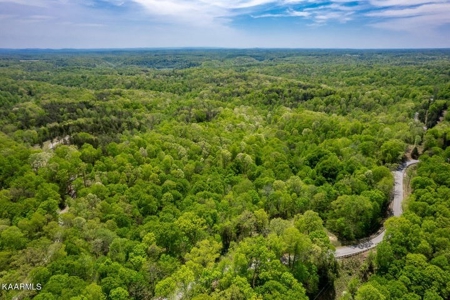 Mountain property for sale Gainesboro TN - image 7