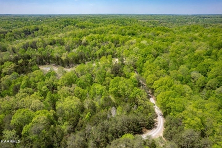 Mountain property for sale Gainesboro TN - image 16
