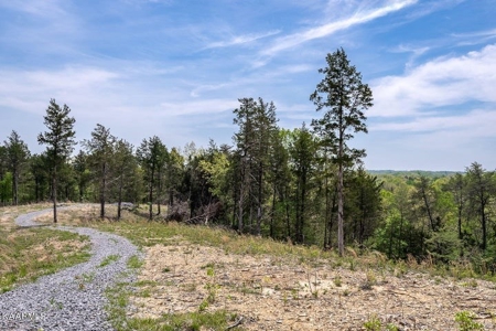 Mountain property for sale Gainesboro TN - image 27