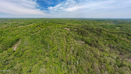 Mountain property for sale Gainesboro TN - image 11