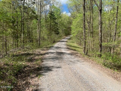 Mountain property for sale Gainesboro TN - image 50