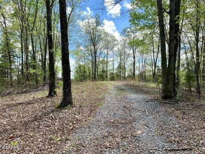 Mountain property for sale Gainesboro TN - image 47