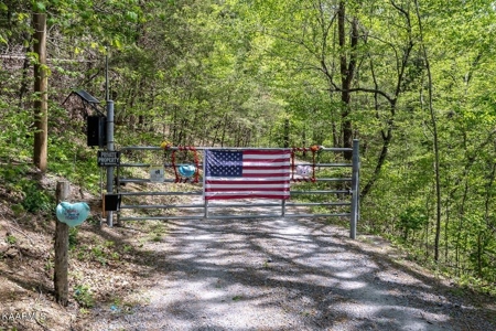 Mountain property for sale Gainesboro TN - image 18