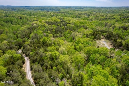 Mountain property for sale Gainesboro TN - image 17