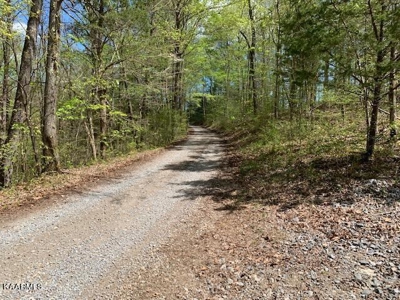 Mountain property for sale Gainesboro TN - image 48