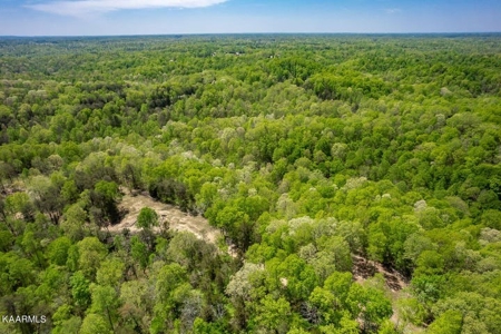 Mountain property for sale Gainesboro TN - image 4