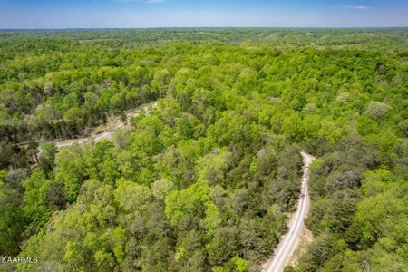 Mountain property for sale Gainesboro TN - image 15