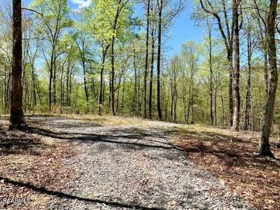 Mountain property for sale Gainesboro TN - image 35