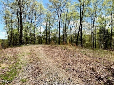 Mountain property for sale Gainesboro TN - image 37