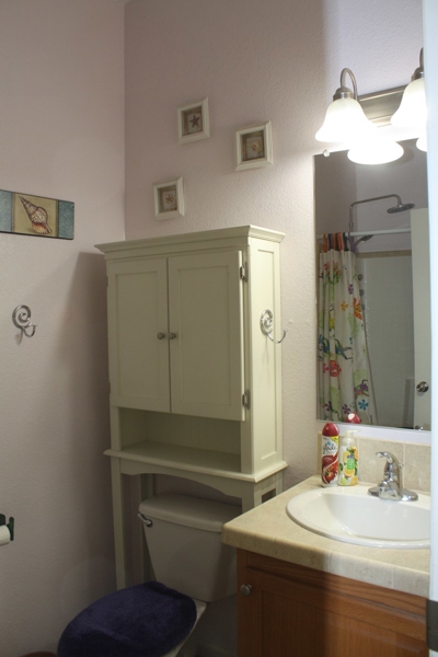 Guest Bath