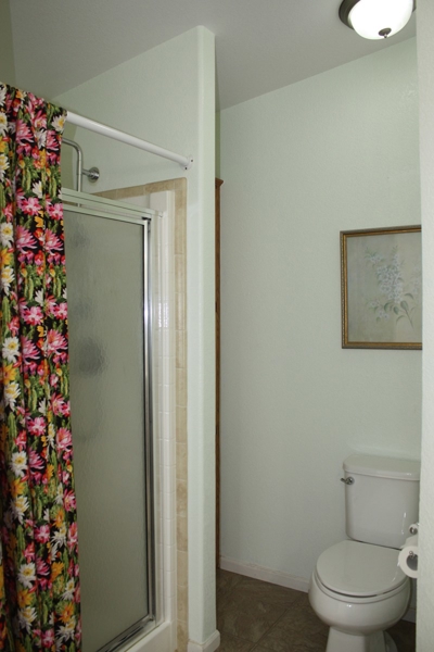 Walk-in Shower